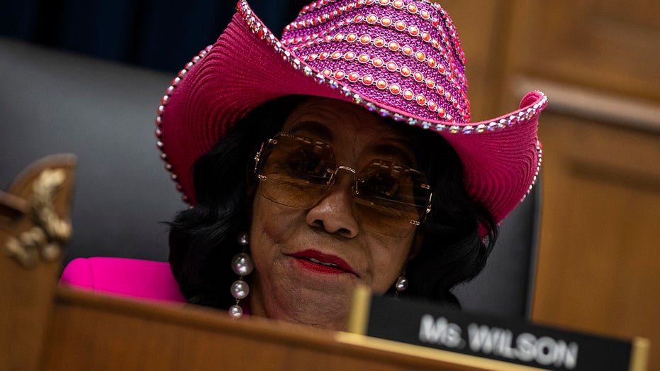 Rep. Frederica Wilson Calls for Public Pressure on Lawmakers Amid Rising Immigration Detentions