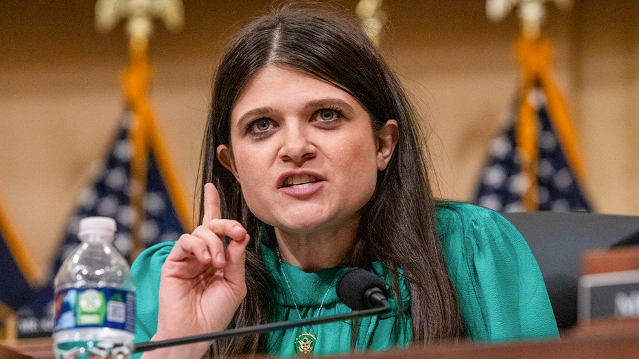 Haley Stevens Joins the Wild Michigan Senate Race, Targets Trump and Auto Industry Woes