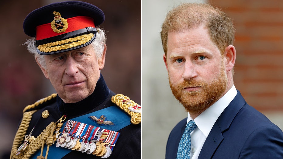 Prince Harry’s Court Loss and Interview Fail to Disrupt United Royal Family Amid VE Day
