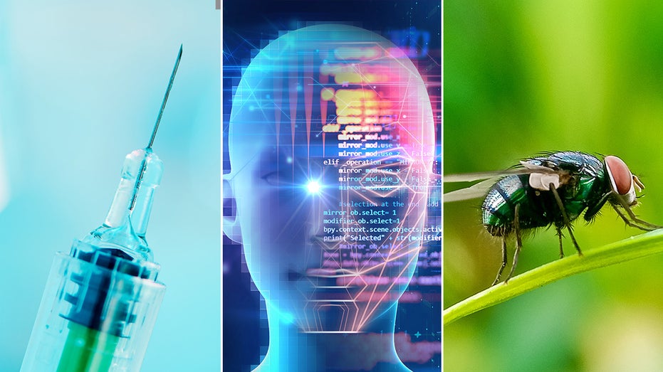 AI Unlocks Biological Age Secrets as Flesh-Eating Insects Threaten Health
