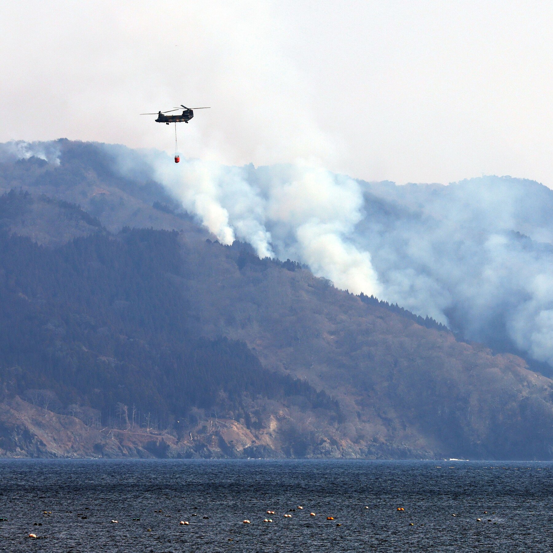 Japan Battles Largest Wildfire in Over 30 Years