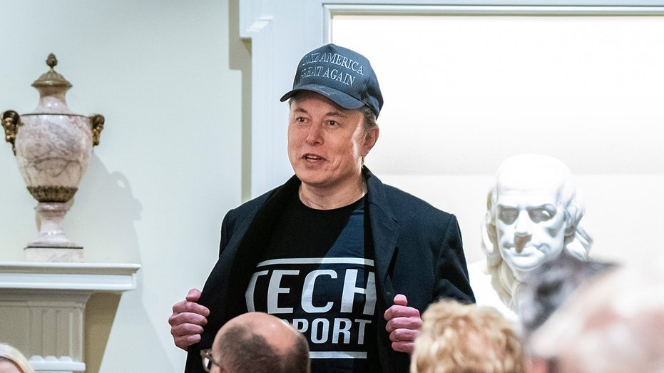 Republican Senators Urged to Champion DOGE Goals with Trump and Musk