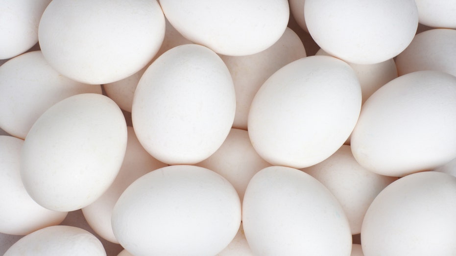 Smart Policy and Cheaper Eggs: Trump-Rollins Team Delivers for Farmers and Consumers