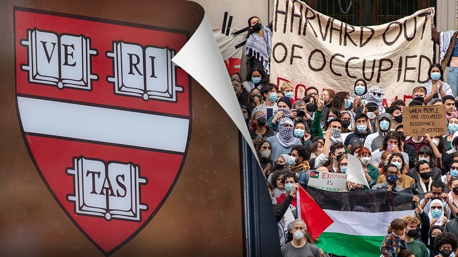 Harvard Law Students Target Big Law Firms Over Campus Antisemitism Stance in Wikipedia Edit Spree