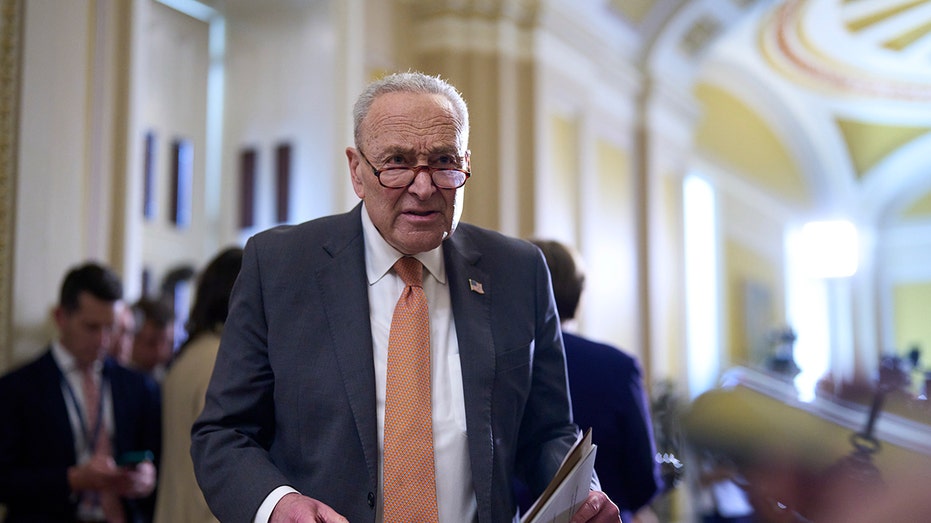 Schumer's Epstein Gambit: Political Theater or Legitimate Oversight?