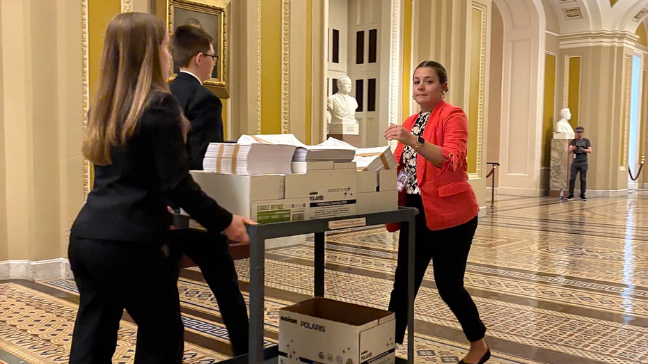 Schumer’s Senate Stunt: Forcing a Marathon Reading of Trump’s Massive Bill