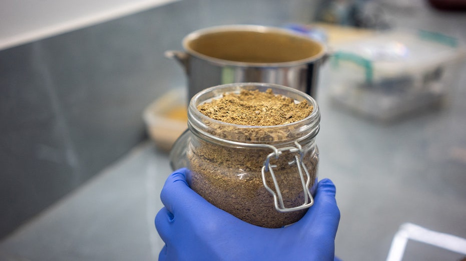 Veterans Seek Forbidden Ibogaine Treatment in Mexico as Texas Leads Research Push