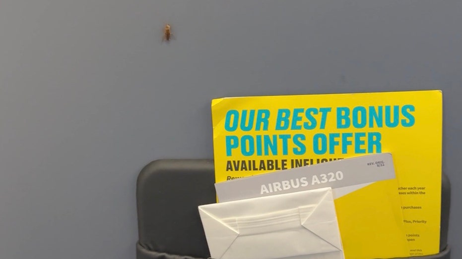 Cockroaches Crawl in Spirit Airlines Cabin, Passenger Vows 'Never Again'