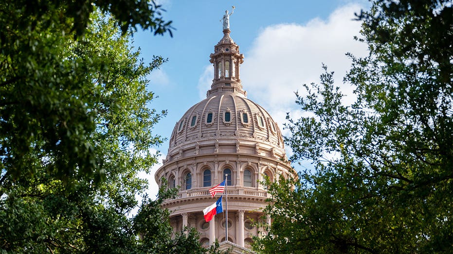 Texas DOGE Bill Passes Senate to Streamline State Regulations