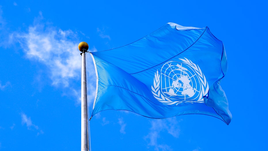 UN Stalls Reforms, Eyes Democratic House Flip to Dodge Budget Cuts