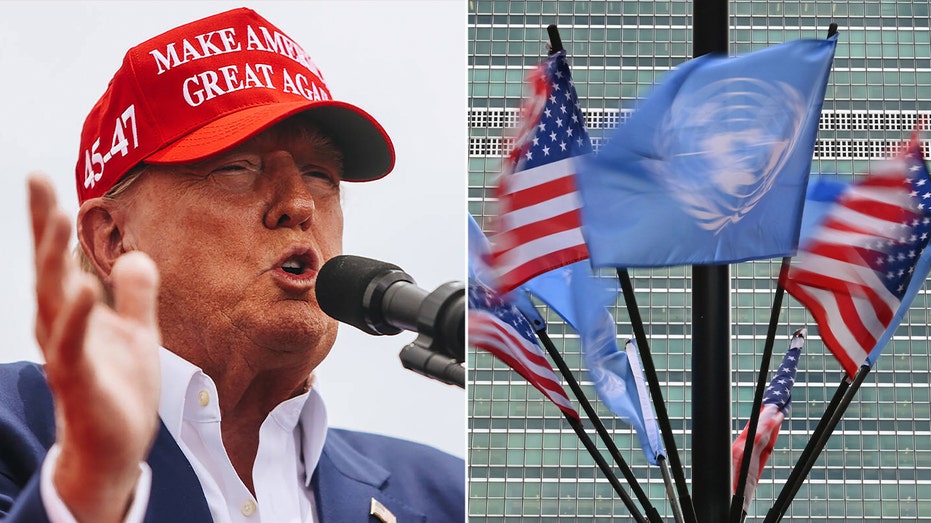 Trump Urged to Review UN Immunity and Lax Visa Rules Amid Security Concerns