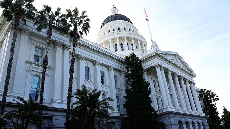 California Lawmaker Warns Democrats on Girls' Sports and Trans Athletes Debate