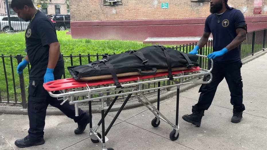 Tragic NYC Infant Death: Puppy Mauls Baby in Queensbridge Horror