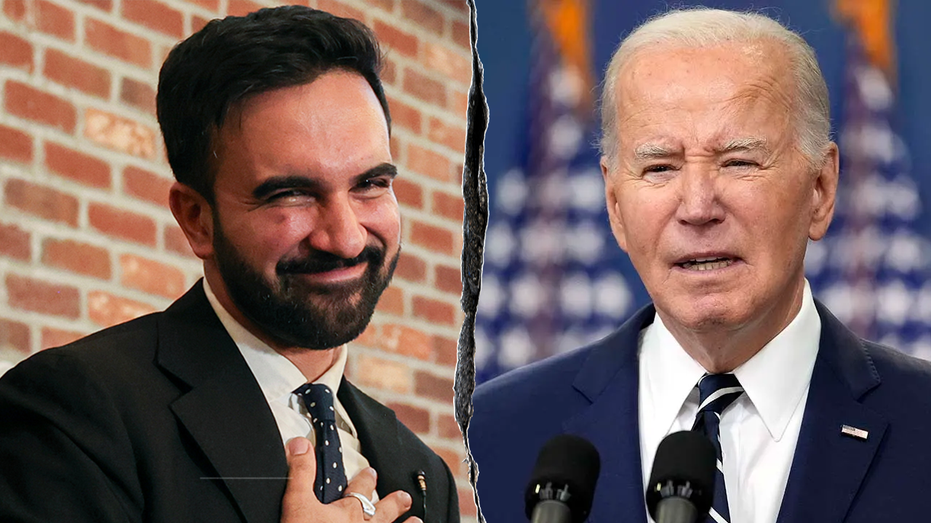 Democrats Divided: Mamdani’s NYC Win and Project 2029 Signal Party’s Crossroads