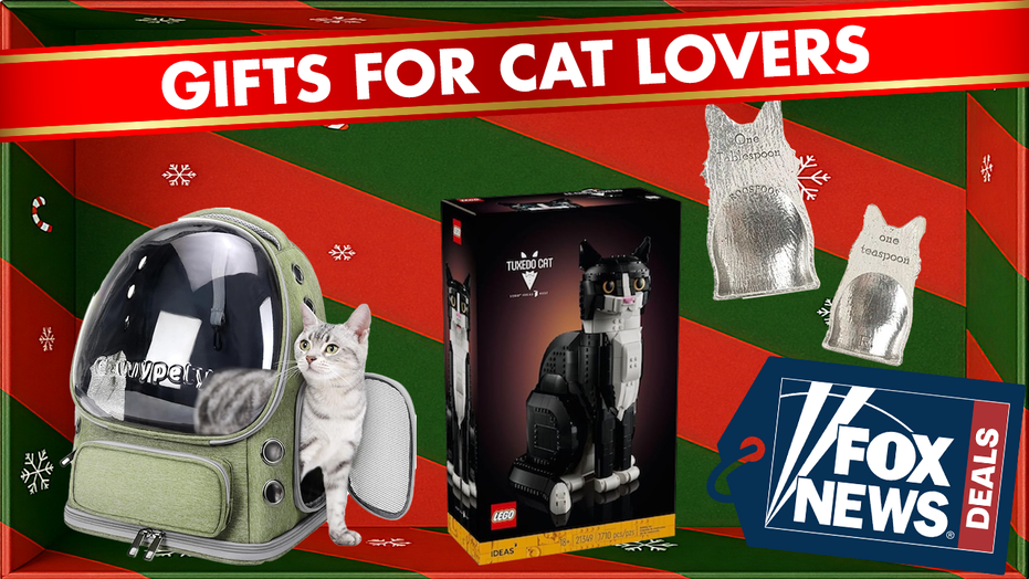 Beyond Kitsch: What the Booming Cat-Themed Gift Market Reveals About Pet Humanization and Consumer Culture