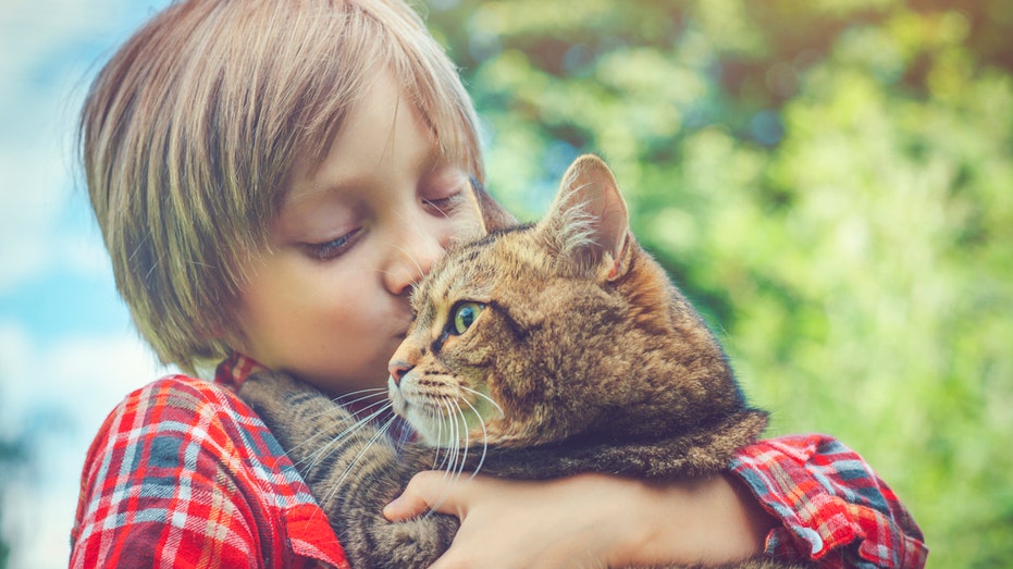 Cat Owners Alerted: Bird Flu Risk Prompts Pet Food Recall