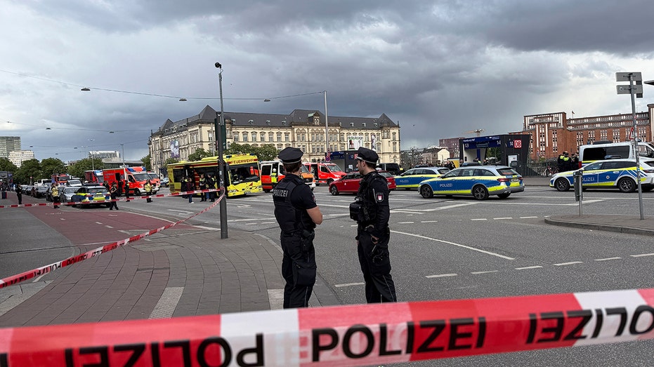 Hamburg Station Stabbing: 18 Injured in Shocking Attack, Suspect in Custody