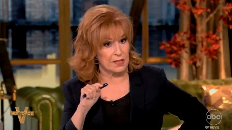 Democrats’ $20M Plan to Win Back Men Sparks Fiery Debate on The View