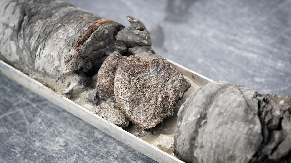 Denver Museum Unearths Rare 67-Million-Year-Old Dinosaur Bone Under Parking Lot