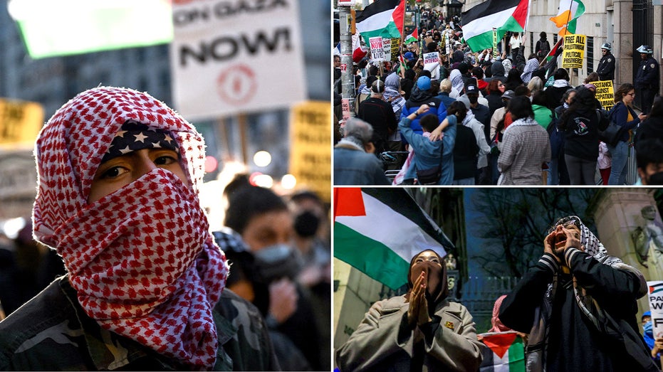 State Department Revokes Visa of Foreign Student Linked to Hamas-Supporting Protests