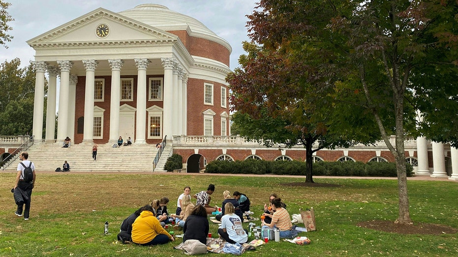 University of Virginia Votes to Remove DEI Office: A Commonsense Decision