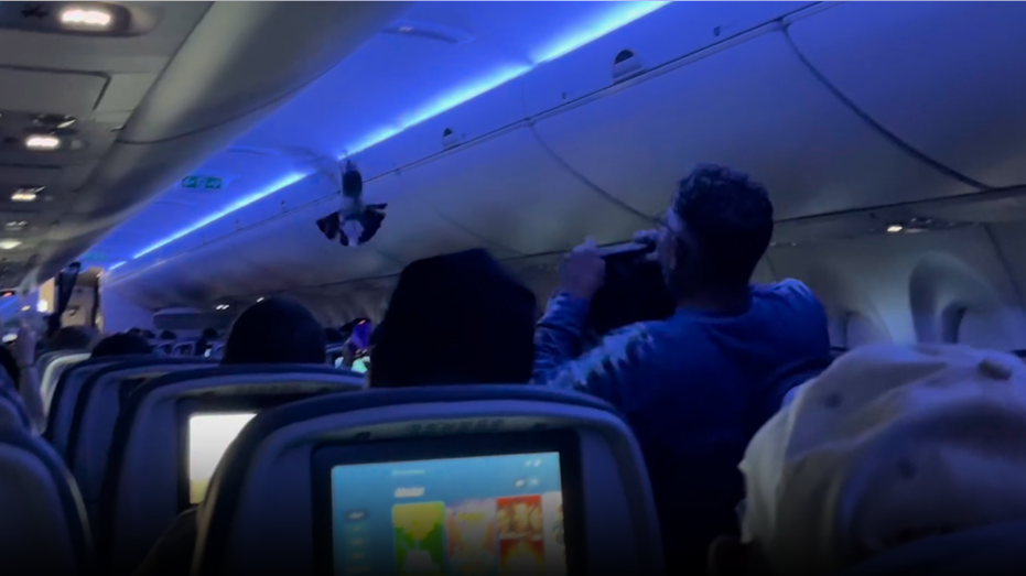 Pigeons Ground Delta Flight in Minneapolis with Mid-Cabin Chaos