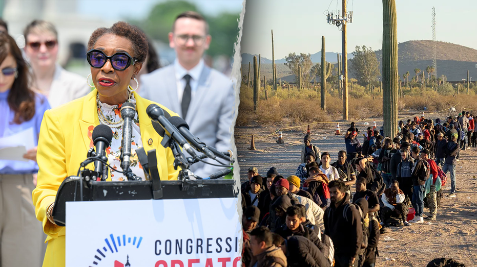 Rep. Yvette Clarke Admits Needing Immigrants for Redistricting in Viral Video