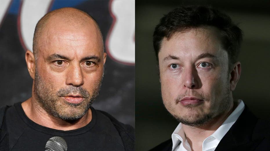 Rogan and Musk Question Media's Silence on DOGE's Tax Dollar Pursuit