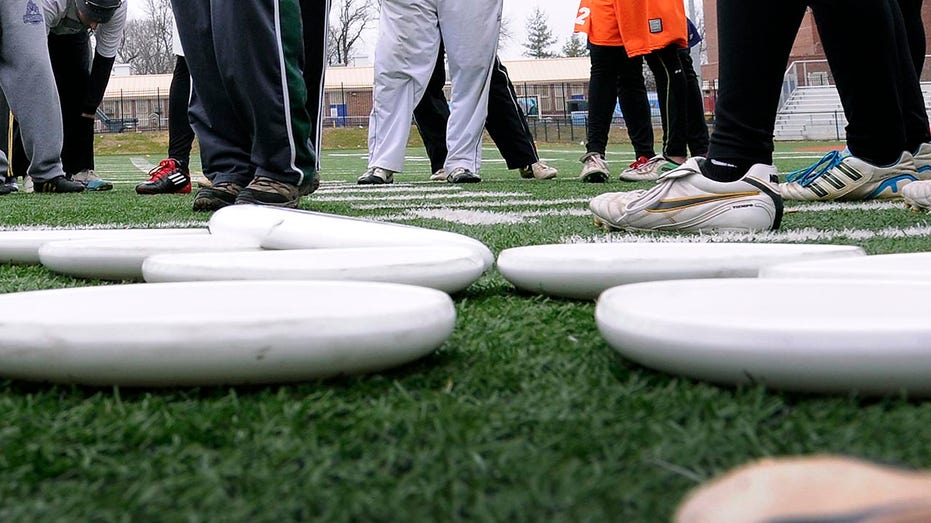 Denver Ultimate Frisbee Team Gifts 'Summit' Name to NWSL Expansion Franchise