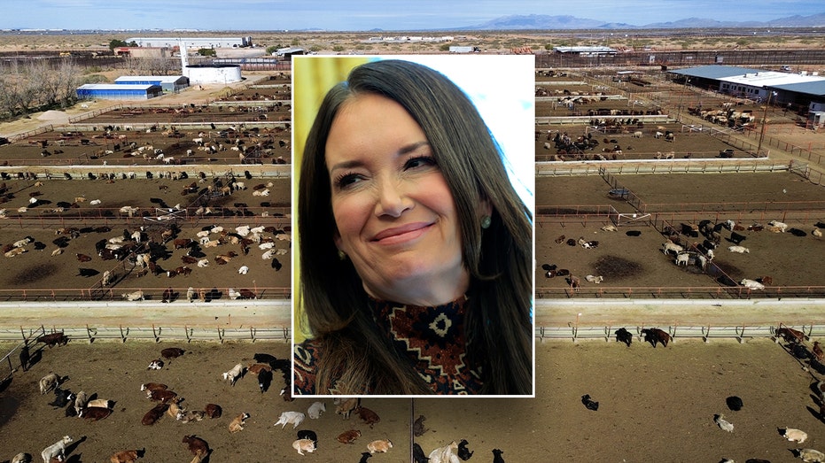 USDA Throws Down the Gauntlet: Stop Flesh-Eating Flies or Say Adiós to Mexican Beef Imports