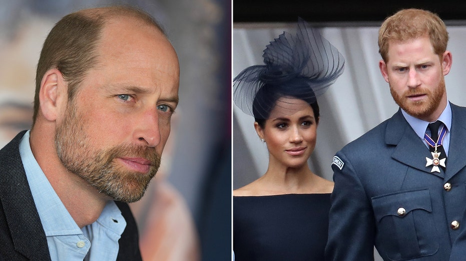 Prince William’s Bold Move With Earthshot CEO Sends a Frosty Signal to Harry and Meghan