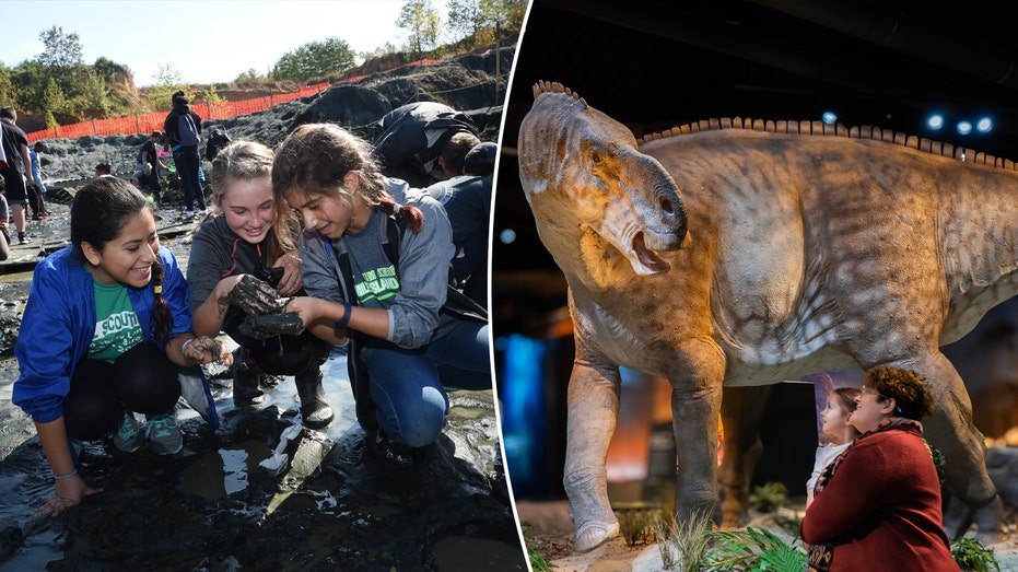 Uncover Million-Year-Old Fossils and Treasures Across America
