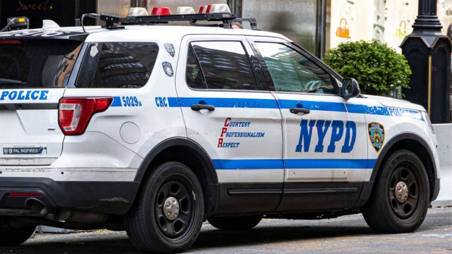 New York Proposal to Ban Police Traffic Stops for Minor Violations Sparks Debate