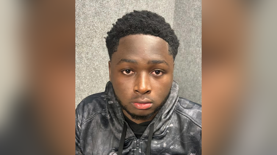 Shooting at Mardi Gras Parade in Louisiana Leaves 5 Wounded, Suspect in Custody