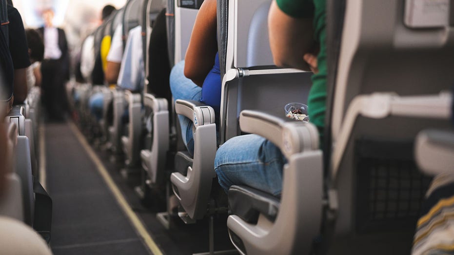 Passenger's Plane Drama: Fellow Flyer Kicks Her Calves Mid-Flight