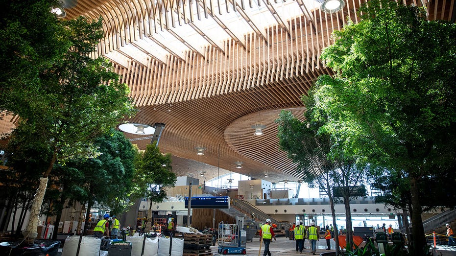 PDX Soars as America’s Best Airport with Therapy Llamas and Quirky Charm