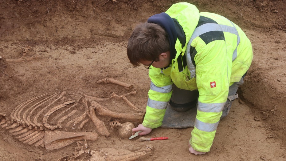Over 100 Roman-Era Horse Skeletons Discovered at German Military Site