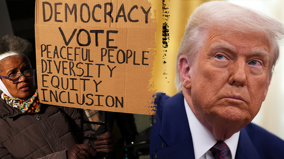 Trump Administration Cuts Millions in DEI Grants Amid DOGE Efficiency Drive