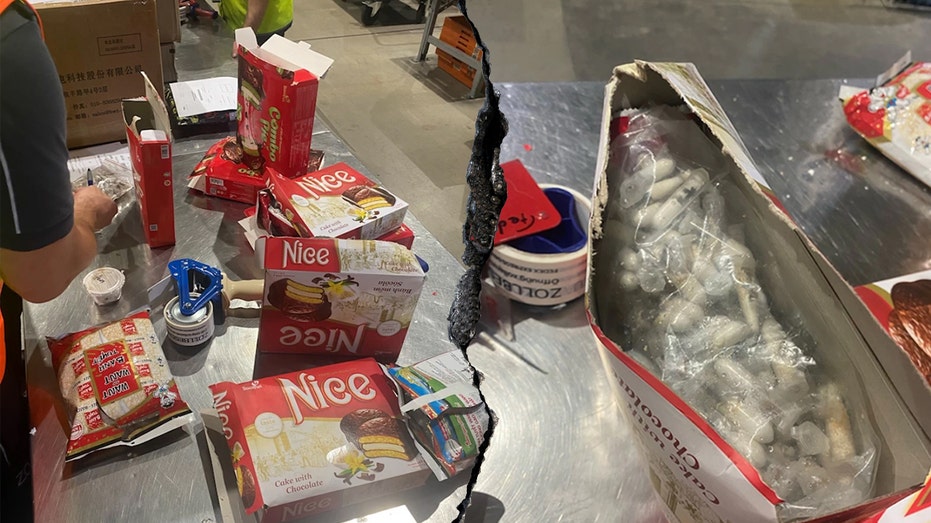 German Customs Nab 1,500 Tarantulas Hidden in Spongecake Shipment from Vietnam