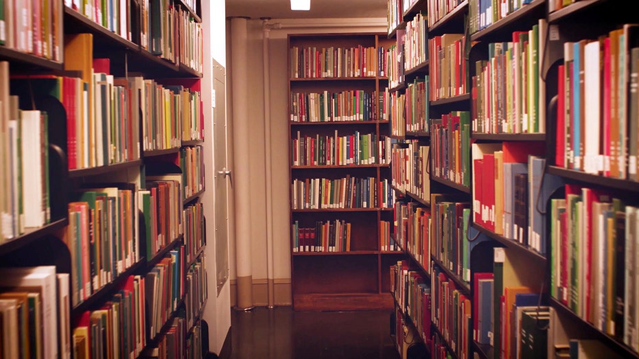 Fairhope, Alabama Divided Over Controversial Books in Library's Teen Section