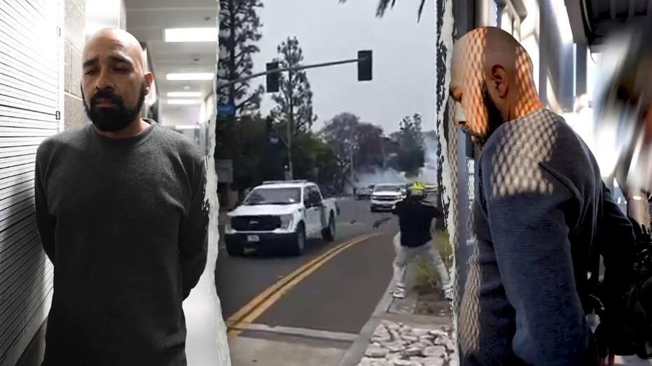 Rioter Elpidio Reyna Arrested at Border for Attacking Border Patrol in LA Riots