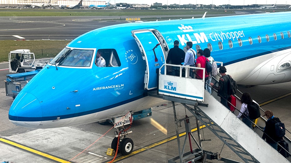 One Rat, Many Risks: What the KLM Cabin Incident Reveals About Modern Air Travel