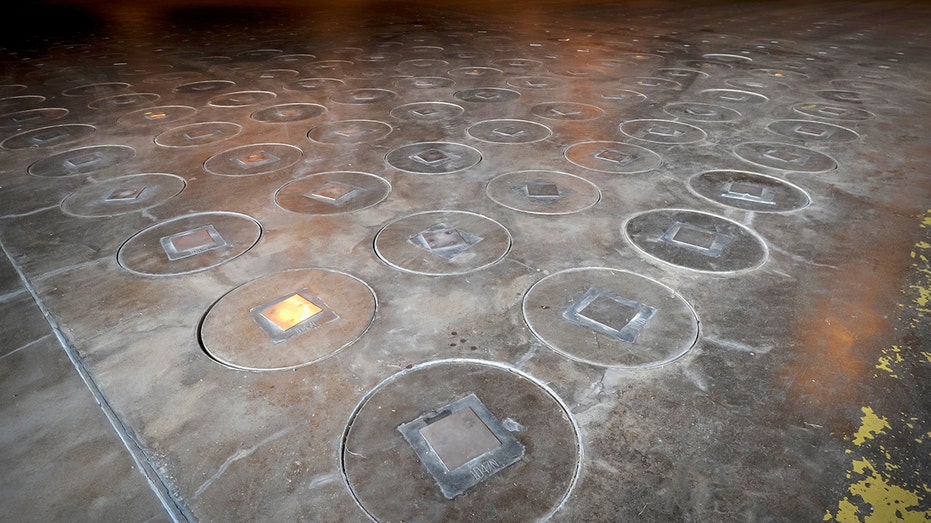 Radioactive Wasp Nest at Nuclear Site: Unpacking the Deeper Implications
