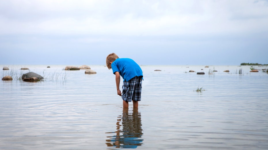 Tragic Death in South Carolina from Rare Brain-Eating Amoeba at Lake Murray