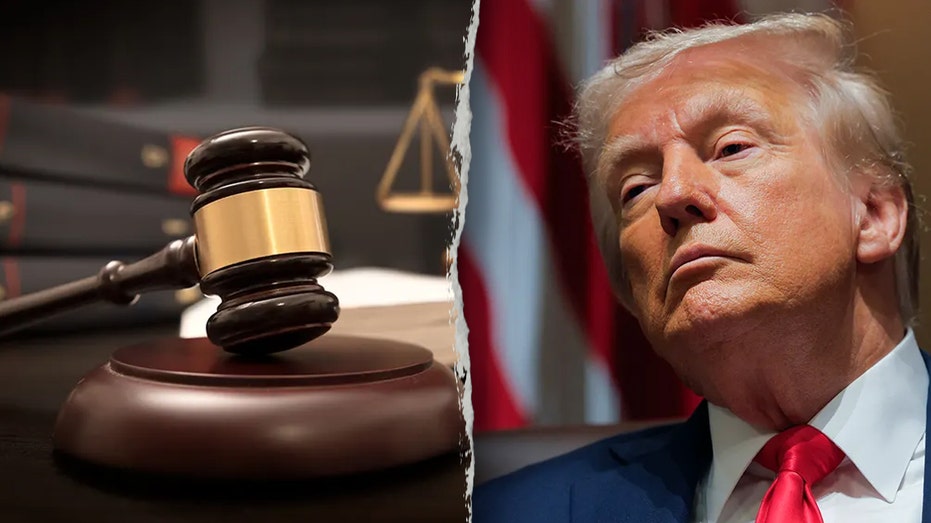 Judge Stops Trump’s Bid to Defund Sanctuary States Over Immigration Stance