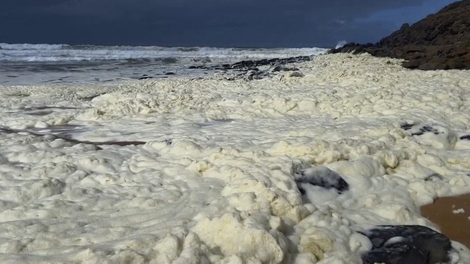 Mysterious Foam and Dead Fish Stir Chaos on South Australian Beaches