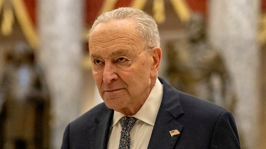 Progressive Leader Says Schumer Faces 'Uphill' Climb to Win Back Democrats' Trust