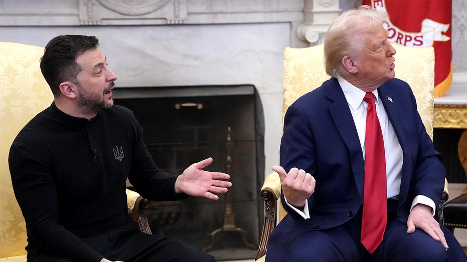 Trump-Zelenskyy Meeting Implodes: Is It Time for Europe to Lead?