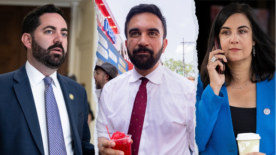 NYC Mayoral Race: Republicans Slam Zohran Mamdani as 'Disaster' for City
