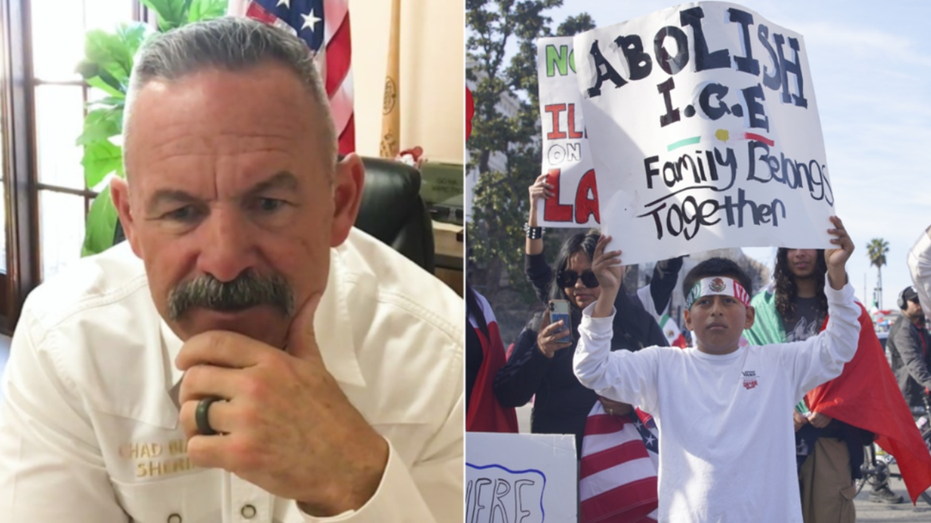 Blue State Sheriff Calls Out Activists Defying ICE, Slams 'Fear Mongering' Media
